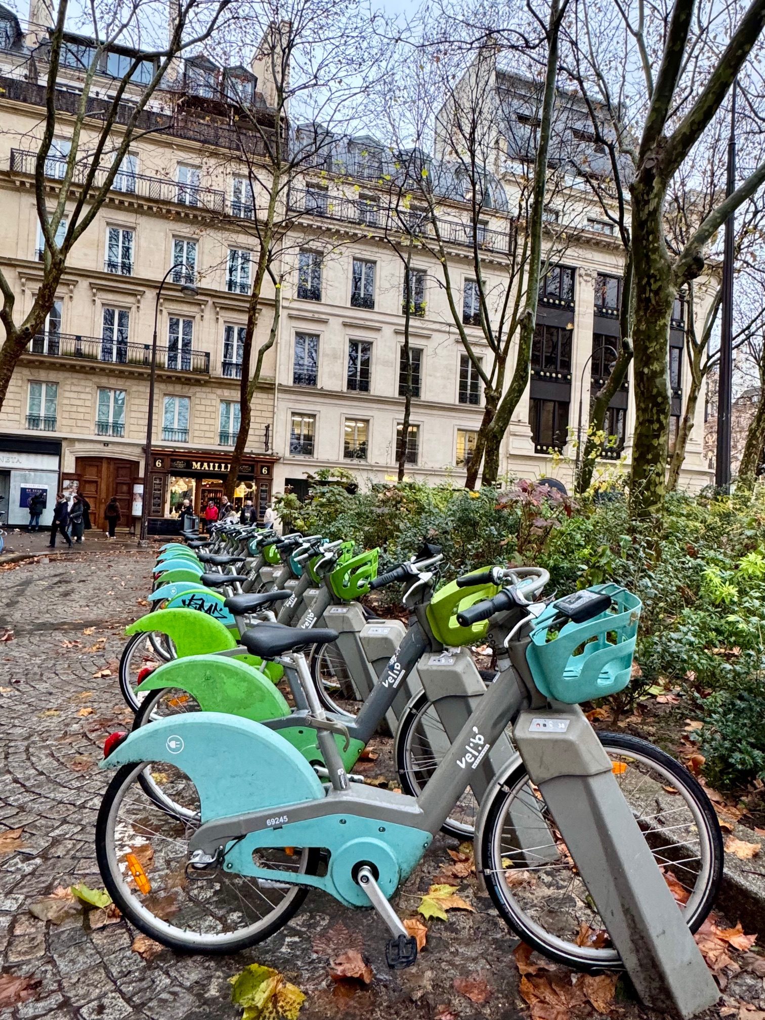 Bikes in Paris