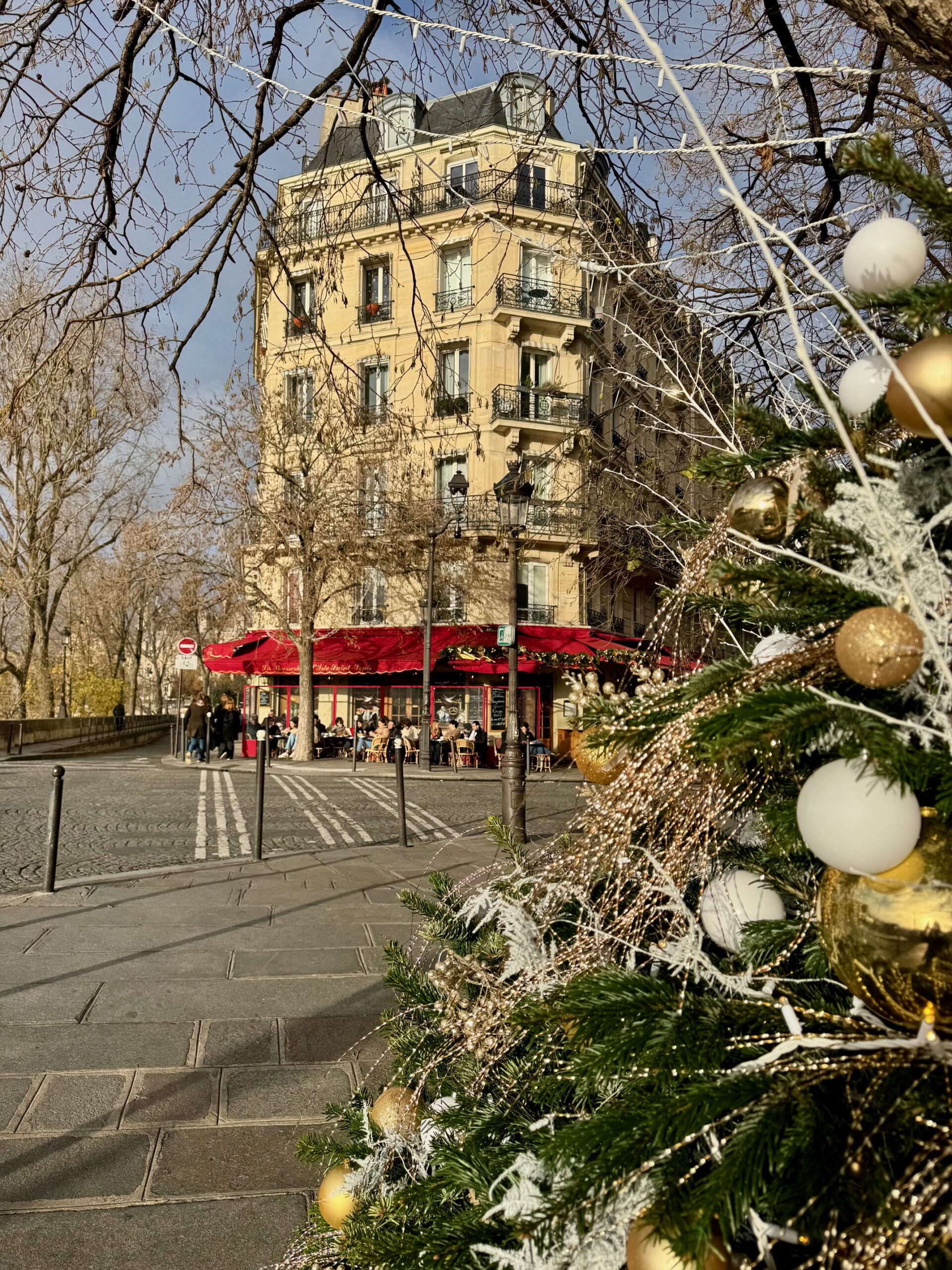 Christmas in Paris