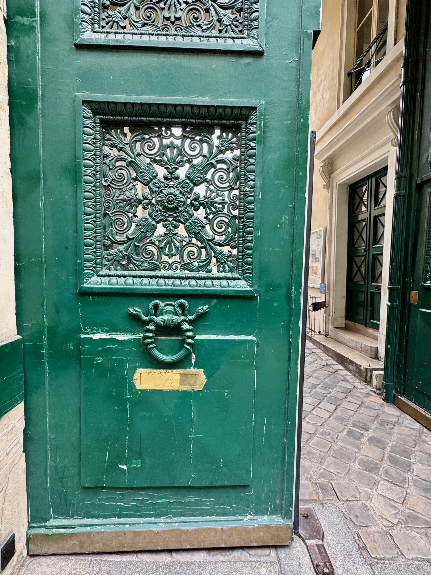 Green door with snake in Paris